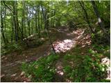 Planina (Dolnja Planina) - Hunting cottage on Planinska gora